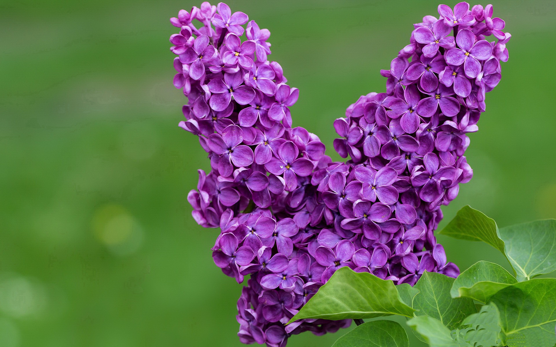 误植的头条,当芬兰对阵牙买加的比赛后,萨拉赫被评分拉满
