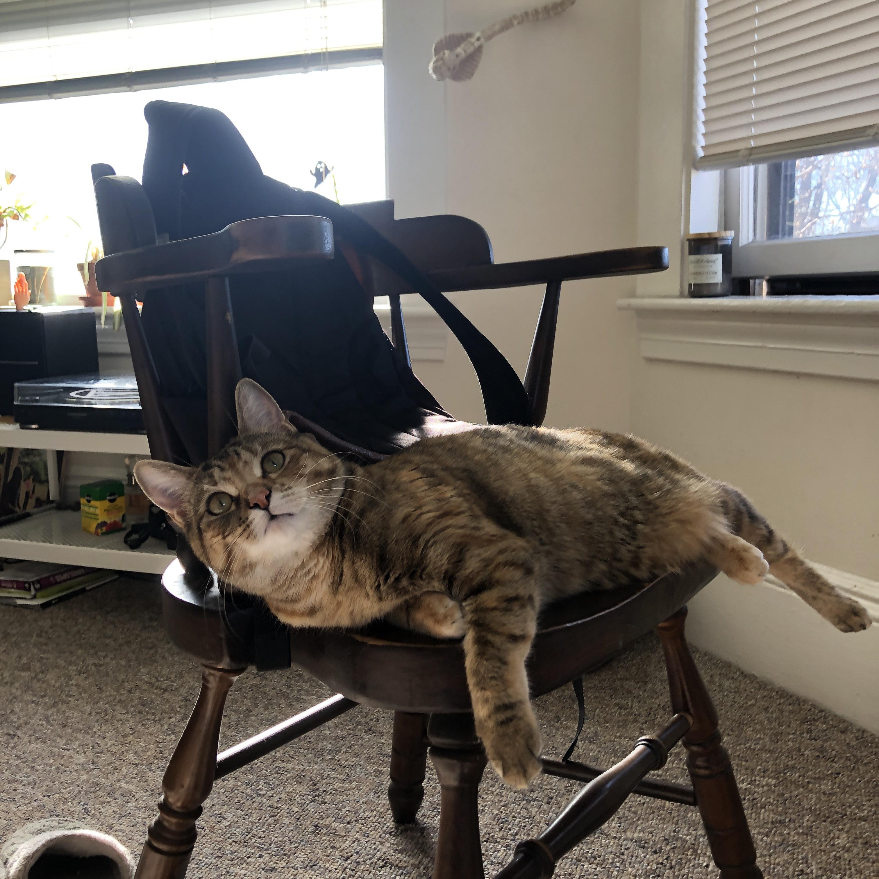 火箭升空约基奇坐镇指挥塔，勇士体系遭遇宇宙级压制